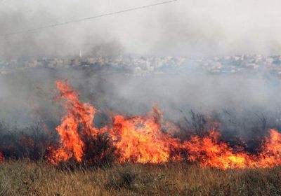 وفاة وإصابات في حرائق عدة بإسرائيل