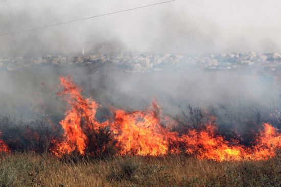 وفاة وإصابات في حرائق عدة بإسرائيل