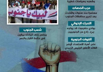 الجنوب جاهز للردع (إنفوجراف)