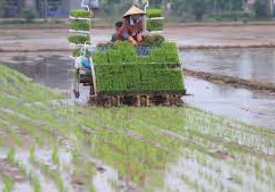 الصين تدعم الزراعة بحوافز مالية جديدة
