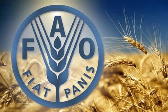 فاو: غلاء الأغذية يضغط على مشتريات 47 دولة