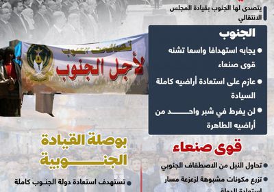 الجنوب فوق الجميع.. وطن واحد كامل السيادة (إنفوجراف)