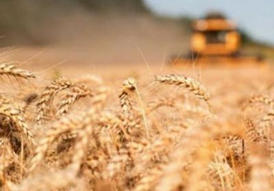 كندا تغير أوزان سلة التضخم لصالح الأغذية والوقود