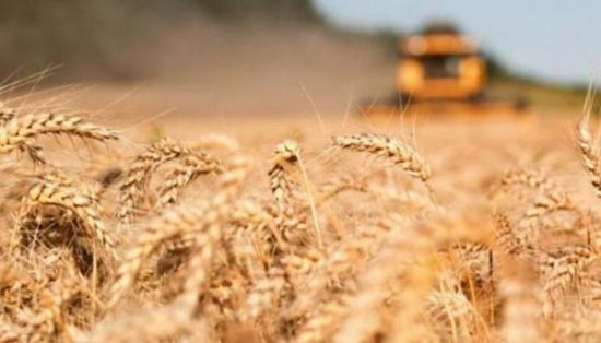 كندا تغير أوزان سلة التضخم لصالح الأغذية والوقود