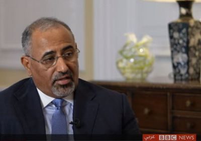 رئيس الانتقالي: عضوية الجنوب في الأمم المتحدة تحتاج لتفعيل فقط