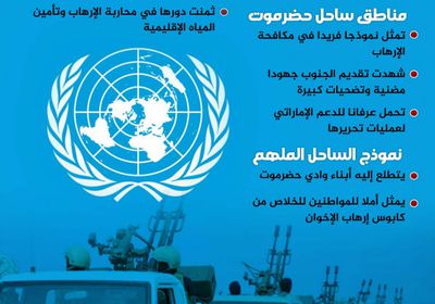 إشادة أممية بجهود الجنوب الأمنية (إنفوجراف)