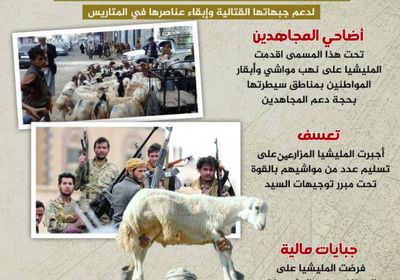 أضاحي المجاهدين.. حيلة حوثية للنهب (إنفوجراف)