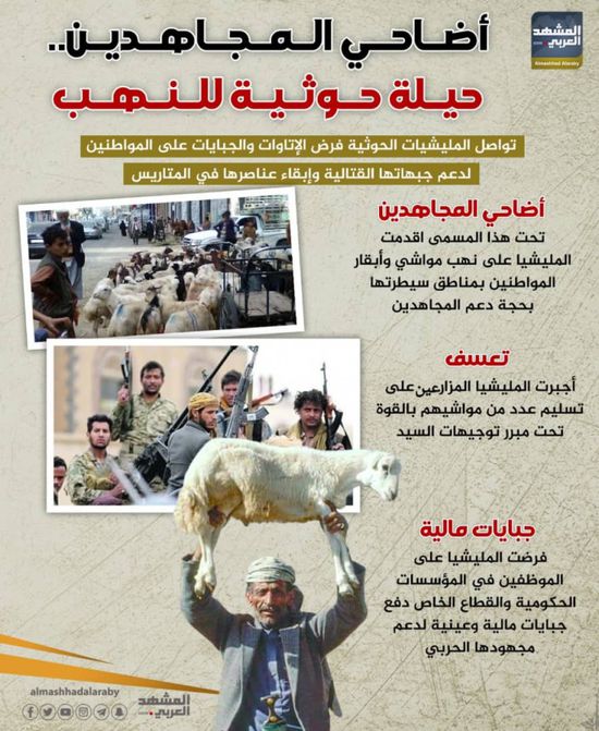 أضاحي المجاهدين.. حيلة حوثية للنهب (إنفوجراف)