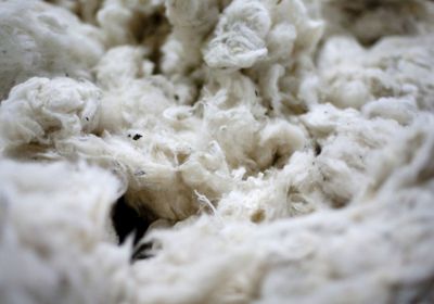 الصين تتجه للإفراج عن كميات من مخزون القطن