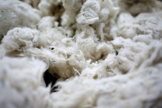 الصين تتجه للإفراج عن كميات من مخزون القطن