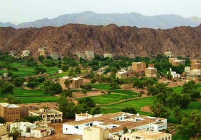 شقيقان يقتلان والدهما وعمتهما في الصعيد