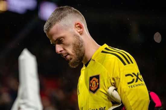 دي خيا يرحل عن مانشستر يونايتد بعد نهاية عقده