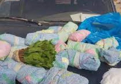 إحباط تهريب 140 كيلو قات بحوزة 7 يمنيين في السعودية