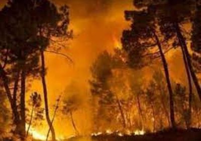 حرائق الغابات تجبر الساكن على ترك منازلهم بإسبانيا