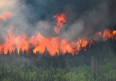 الحرائق الضخمة بكندا تلتهم  10 ملايين هكتار