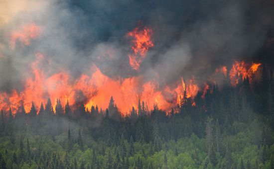 الحرائق الضخمة بكندا تلتهم  10 ملايين هكتار