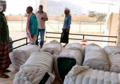 للعام الـ6.. الإمارات تجدد مبادرة حماية نخيل سقطرى