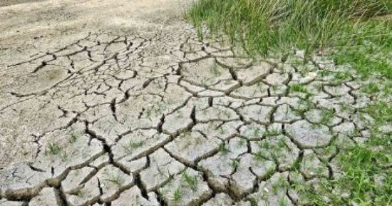 الأرجنتين تسجل أسوأ عجز تجاري شهري بسبب الجفاف