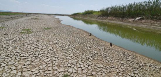 الجفاف يكلف الاقتصاد الأرجنتيني 20 مليار دولار