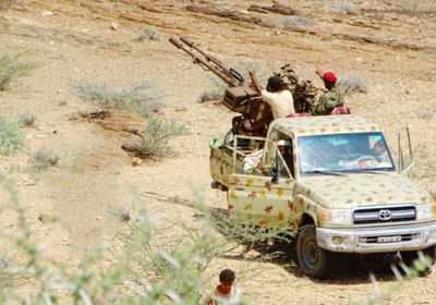 القوات الجنوبية تكبد عناصر إرهابية خسائر فادحة بالمحفد