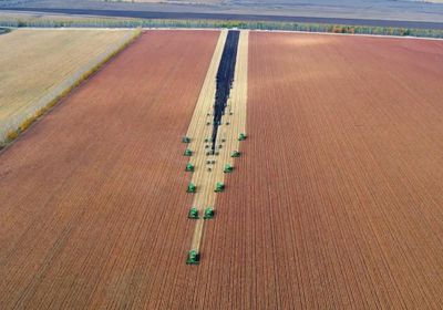 إنتاج العالم من الحبوب سيصل إلى 2.29 مليار طن متري