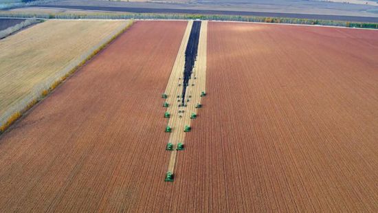 إنتاج العالم من الحبوب سيصل إلى 2.29 مليار طن متري