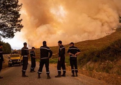 مصرع 15 وإصابة 26 آخرين في حرائق الغابات بالجزائر