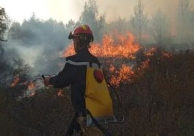 ارتفاع ضحايا الحرائق في الجزائر لـ34 شخصًا