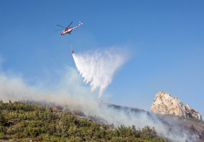 قبرص تخمد حريق غابات
