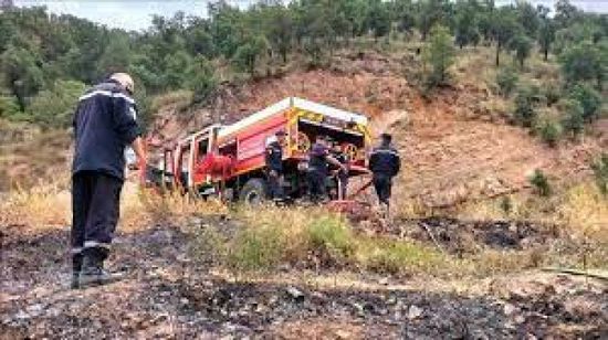 الجزائر تعلن سيطرتها على حرائق الغابات