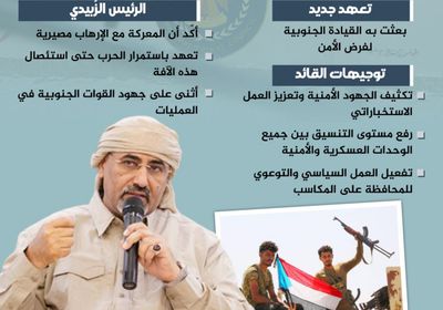 المعركة المصيرية.. جسر تحصين الجنوب وتحريره (إنفوجراف)