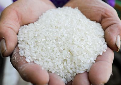 بعد قرار الهند.. الأرز يثير أزمة في أمريكا