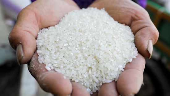 بعد قرار الهند.. الأرز يثير أزمة في أمريكا