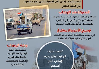 استئصال الإرهاب.. معركة الجنوب المصيرية (إنفوجراف)