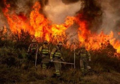 كازاخستان ترسل فريقًا لإخماد حرائق منطقة زامبيل