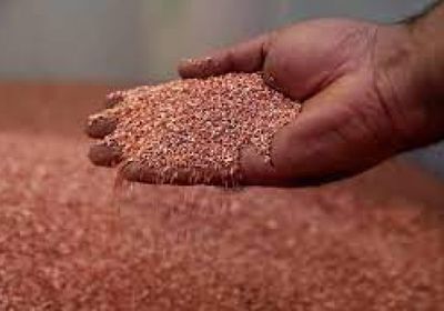 جلينكور البريطانية تستحوذ على منجم نحاس في الأرجنتين