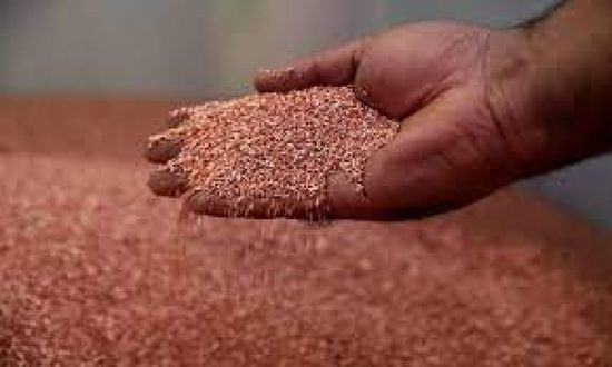 جلينكور البريطانية تستحوذ على منجم نحاس في الأرجنتين