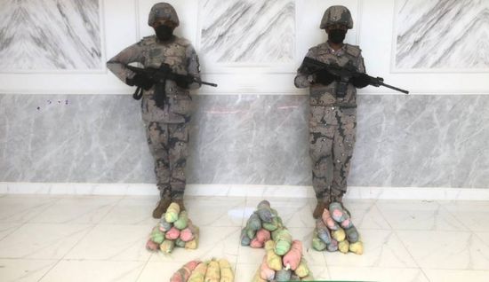 حرس الحدود السعودي يحبط تهريب 48 كيلوجرامًا من القات في جازان