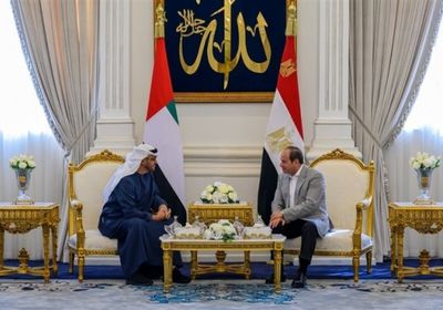 رئيس الإمارات ونظيره المصري يبحثان العلاقات الأخوية والتطورات الإقليمية والدولية