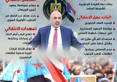 المجلس الانتقالي.. استعدادات لإجراءات ثورية (إنفوجراف)