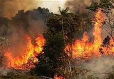 إجلاء 135 شخصًا مع استمرار الحرائق بإقليم كتالونيا وفرنسا