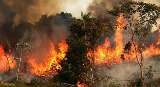 حريق كبير يلتهم الغابات والشجيرات في البرتغال