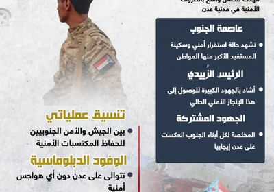استقرار عدن.. إنجاز أمني جنوبي (إنفوجراف)