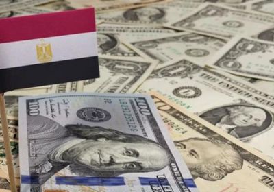 "المركزي المصري" يكشف حجم صافي الاحتياطيات الأجنبية في يوليو 2023