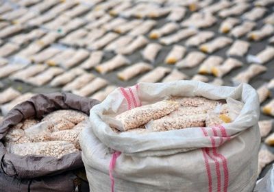 بعملية غير مسبوقة.. العراق يضبط أكبر كمية مخدرات في تاريخه