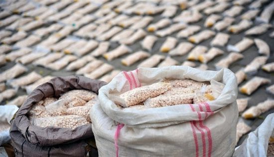 بعملية غير مسبوقة.. العراق يضبط أكبر كمية مخدرات في تاريخه