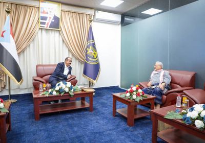 بن بريك والسفير عبدالرب يبحثان جهود تطوير القوات الجنوبية