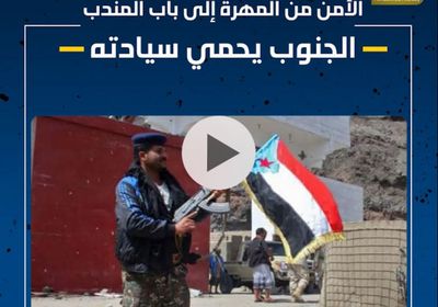 الأمن من المهرة إلى باب المندب.. الجنوب يحمي سيادته (فيديوجراف)