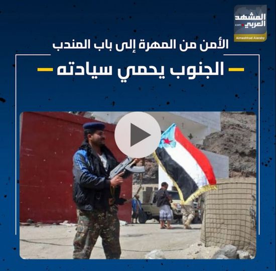 الأمن من المهرة إلى باب المندب.. الجنوب يحمي سيادته (فيديوجراف)