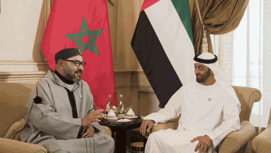 رئيس الإمارات يتسلم رسالة خطية من ملك المغرب